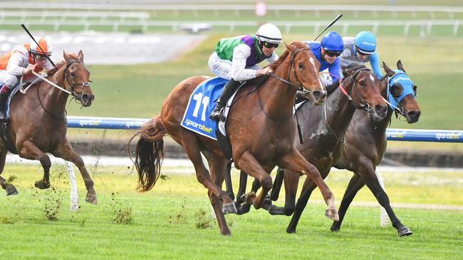 Lovelycut ridden by Damian Lane winning at Sandown Lakeside impressively Picture: Pat Scala - Racing Photos