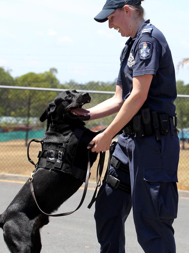 Queensland Police are mourning the loss of ‘vibrant and energetic’ PD Pezz (pictured here with Senior Constable Jess Dwyer). Picture: Chris Higgins