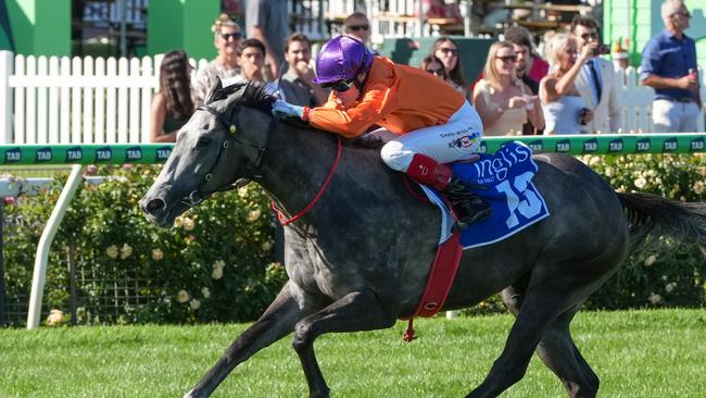 El Morzillo ridden by Craig Williams wins the Inglis Sprint at Flemington Racecourse on March 01, 2025 in Flemington, Australia. (Photo by George Sal/Racing Photos via Getty Images)