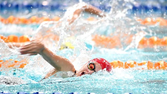 Queensland Representative School Sport championships swimming carnival Tuesday March 26, 2024. Picture, John Gass