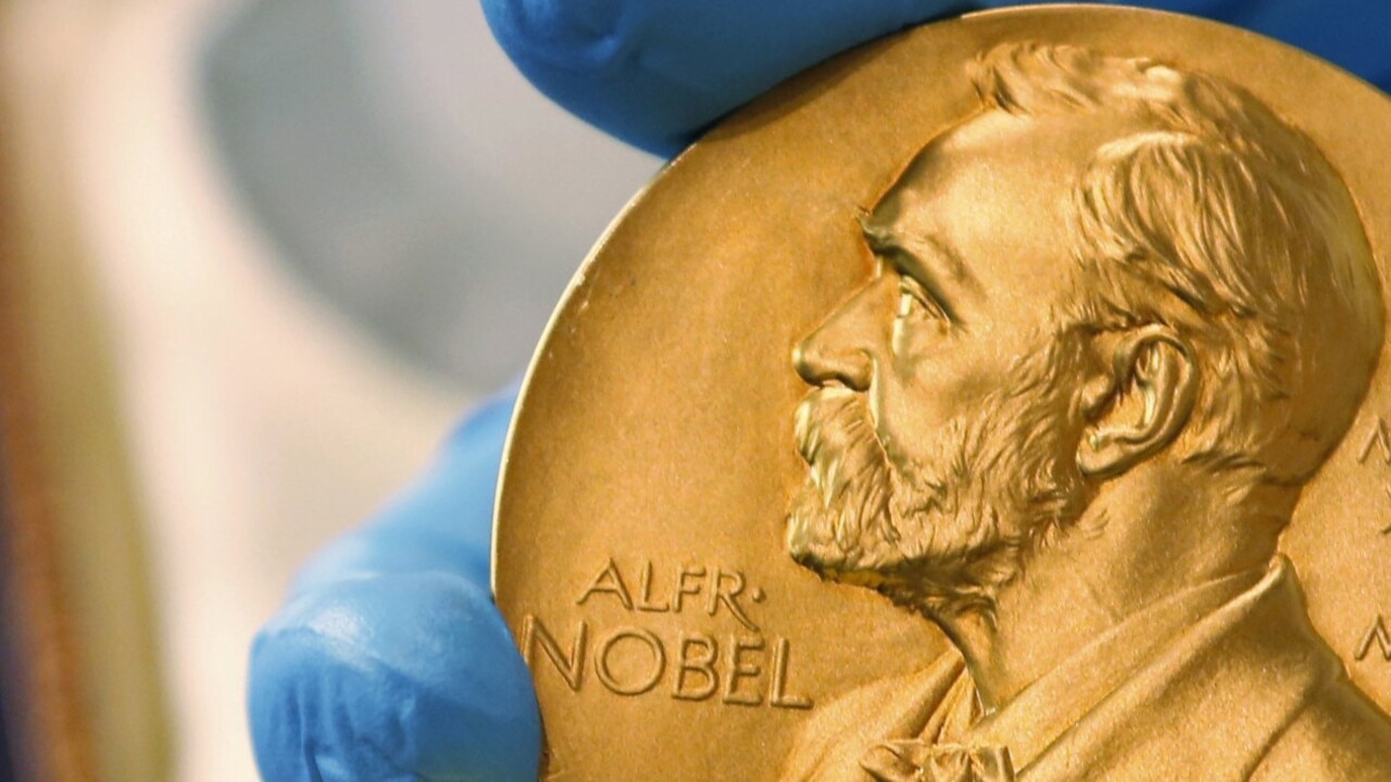 Japanese Organisation Nihon Hidankyo Wins The Nobel Peace Prize ...