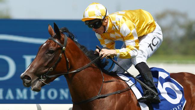 Tim Clark and Lady Of Camelot coast to an easy win in the Widden Stakes at Rosehill on Saturday. Picture: Getty Images