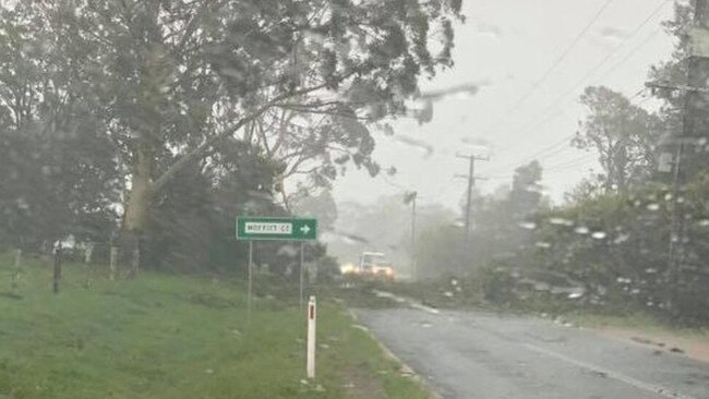 A tree down across Macadamia Dr near Moffitt Ct in Maleny during storms on Tuesday afternoon.