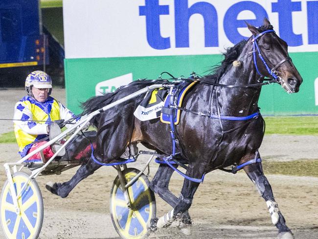 Race 7: Melton Park, Saturday 25-4-2024 Alabar 2yo Sapling Stakes (Colts & Geldings) Winner: Forty Love (7) Trainer & Driver: Aaron Dunn Race Distance: 1,720 metres, Mile Rate: 1.54.7 photography: Stuart McCormick