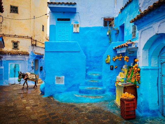 A donkey in a blue street in Morocco. Picture: Canon Australia Collective 