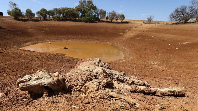 Announcement of a plan to effectively drought-proof Central Queensland is welcome but the state too often has been neglected by Canberra. Pic: Lyndon Mechielsen