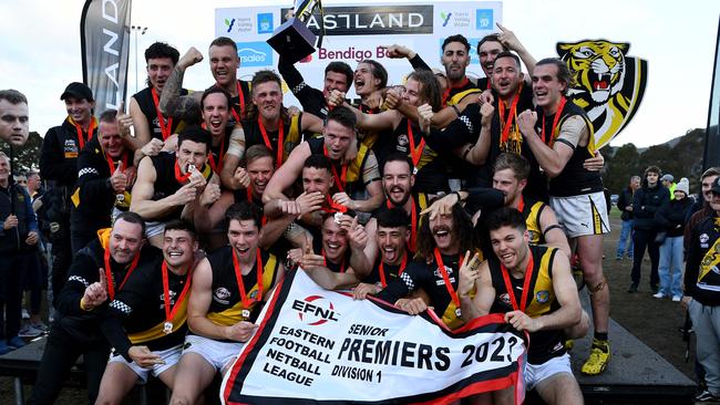 Mitcham pulled off an almighty upset to claim the Division 1 flag. Picture: Josh Chadwick