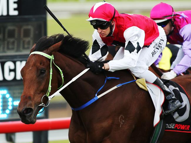 Sunday Telegraph. Scone Dark Jewel Race Day at Scone Race Club in the Upper Hunter Valley. Race 5; Jockey Mitchell Bell rides 