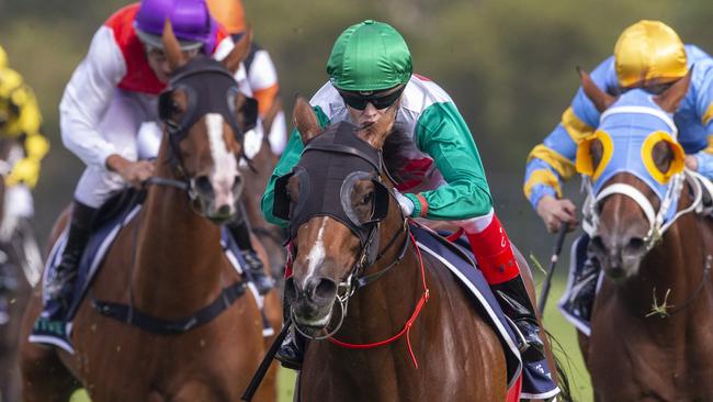 SYDNEY, AUSTRALIA - MARCH 21: Craig Williams (green cap) on Castelvecchio wins race 6 the Sky Racing Active Rosehill Guineas during 2020 Golden Slipper Day at Rosehill Gardens on March 21, 2020 in Sydney, Australia. (Photo by Jenny Evans/Getty Images)