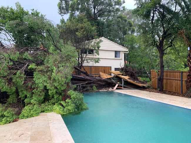 Tree that had fallen over three houses in Beecroft. Picture: NSW SES