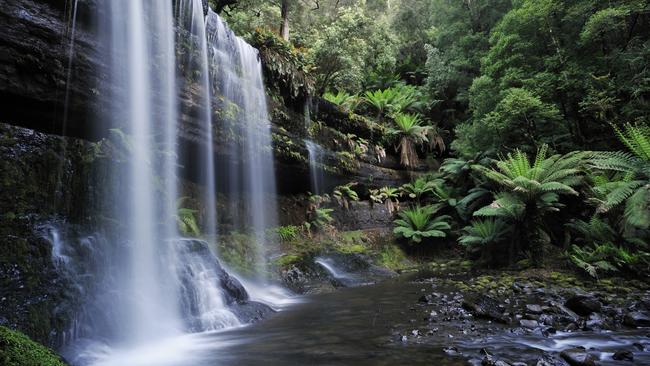 Russell Falls in Mount Field National Park, Tasmania.