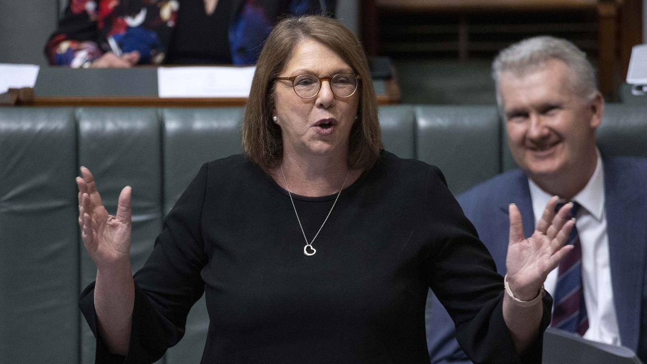 Catherine King is in the cross hairs of Peter Dutton, and Australia. Picture: NCA NewsWire / Gary Ramage