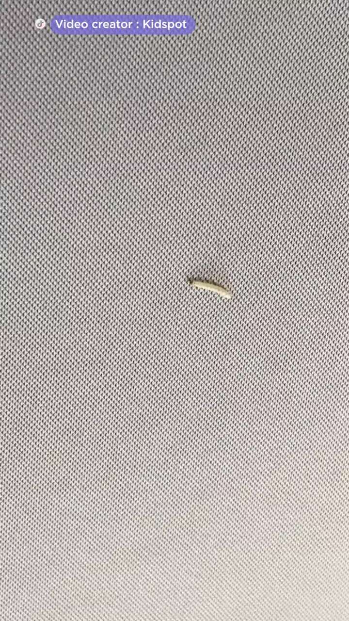 Maggots. In her car. And her reaction says it all