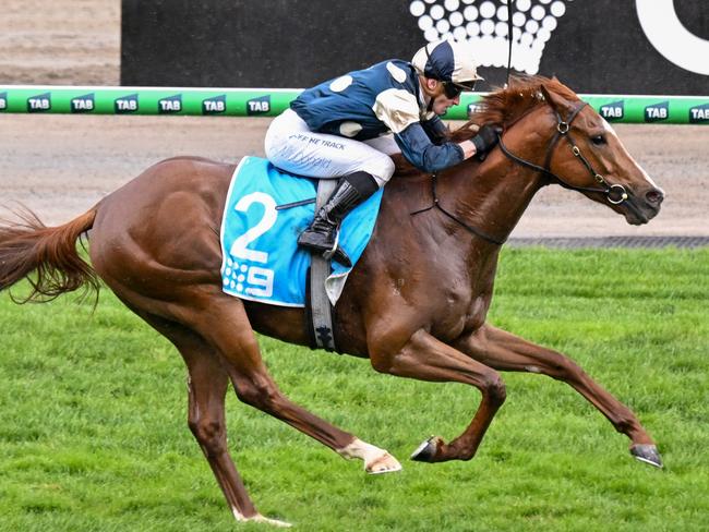 Light Infantry Man (FR) ridden by James McDonald wins the Channel 9 Chester Manifold Stakes at Flemington Racecourse on November 07, 2024 in Flemington, Australia. (Photo by Reg Ryan/Racing Photos via Getty Images)