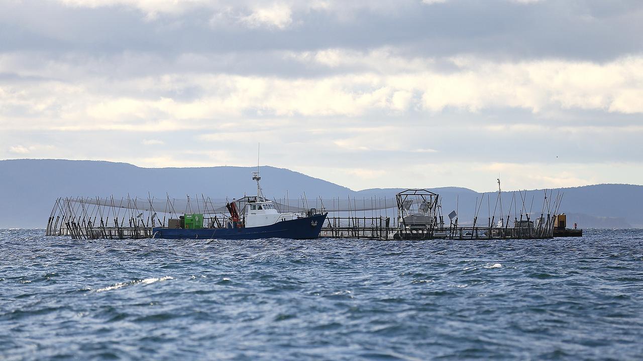 Huon Aquaculture salmon pens east of Bruny Island. Picture: SAM ROSEWARNE.