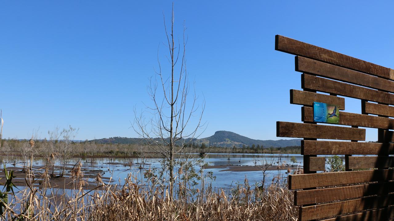 The Yandina Creek Wetland forms part of the 5000 hectare Blue Heart Sunshine Coast.