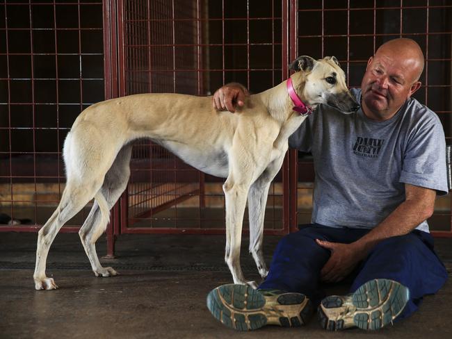 Dubbo's Shayne Stiff, pictured with Pink, at Keeping Kennels / Picture: Dylan Robinson