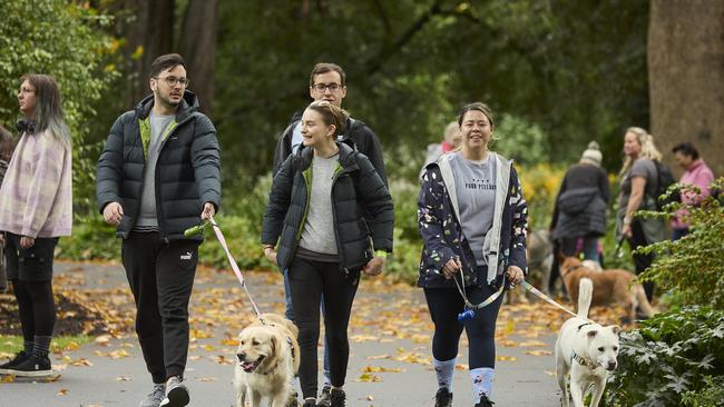 Million Paws Walk in the Adelaide Botanic Gardens, Sunday, May 28, 2023. Picture: Matt Loxton