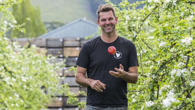 Organic grower Andrew Smith at his orchard in Tasmania’s Huon Valley: ‘There’s nothing easy about it’. Picture: Chris Crerar