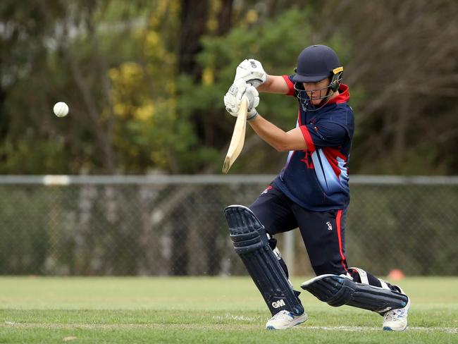 Ed Newman made his maiden century last season.