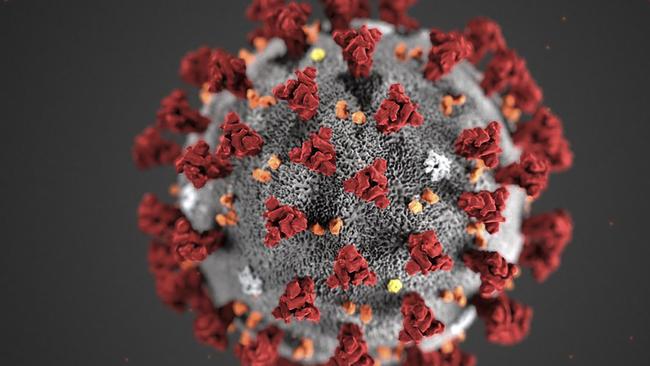 AN illustration of the ultrastructural morphology exhibited by the novel coronavirus. Picture: Lizabeth Menzies/US Centres for Disease Control and Prevention