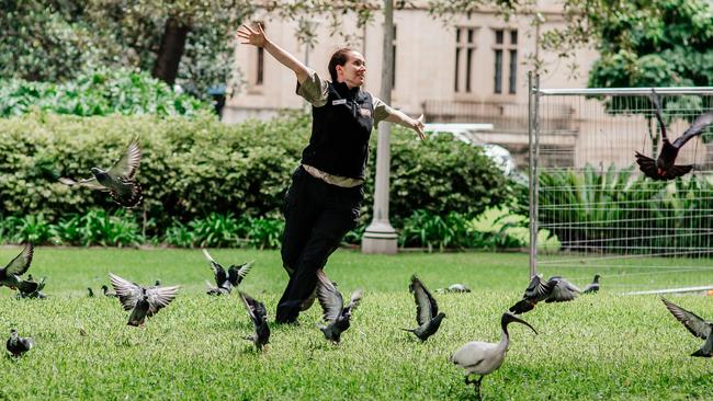 The zoo said it would open an ibis exhibit due to high demand. Picture: Supplied 