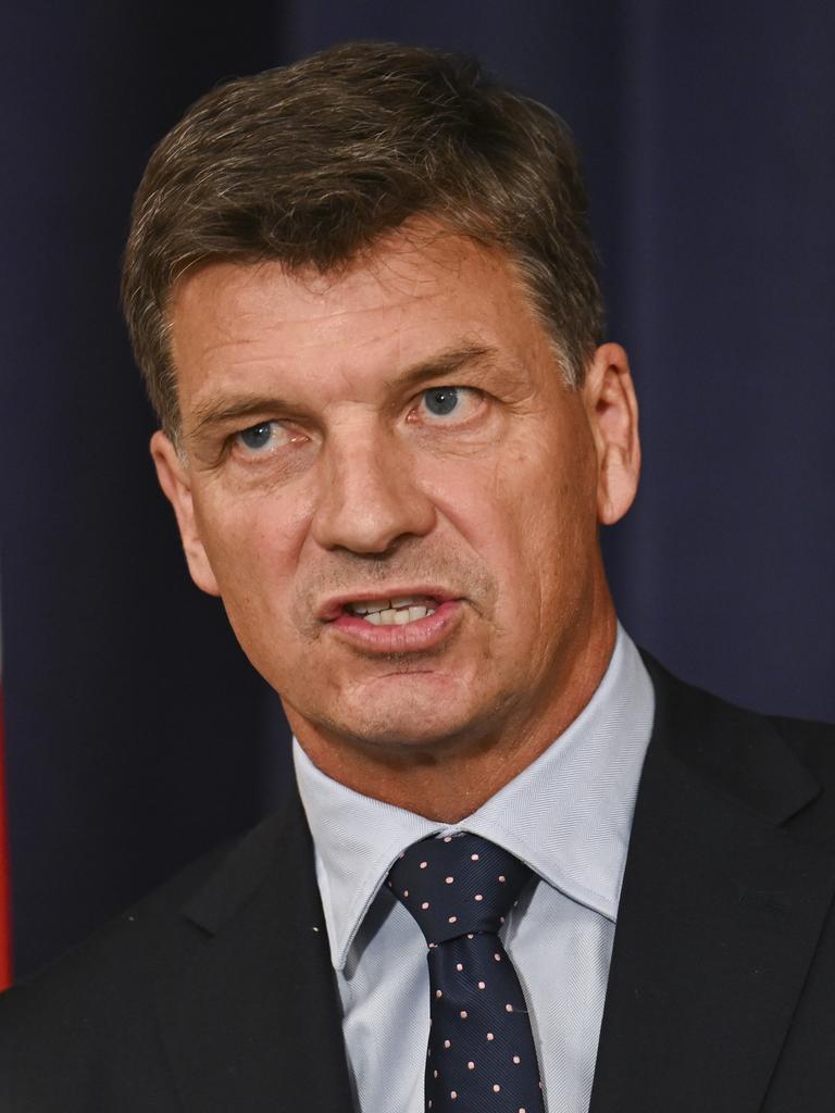 Shadow Treasurer Angus Taylor. Picture: NewsWire/Martin Ollman