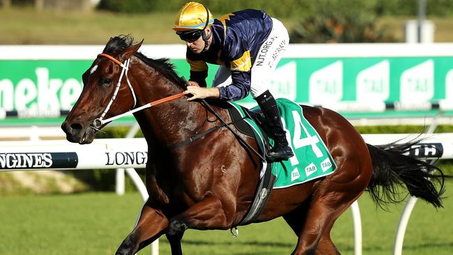 Masked Crusader looks well placed to win the last at Rosehill Gardens. Picture: Getty Images