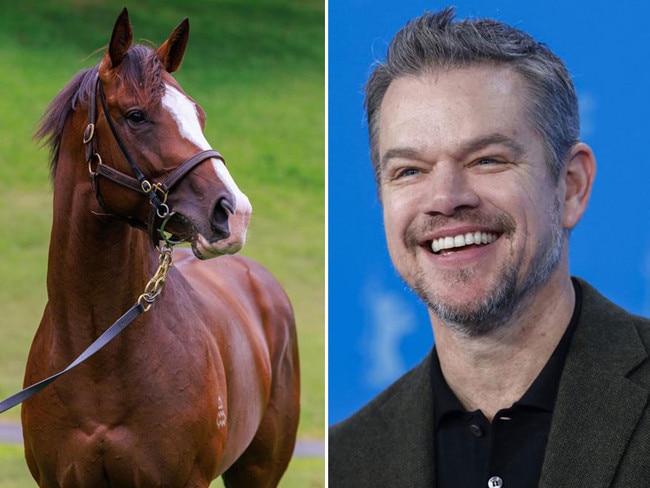 Horse racing tragic Matt Damon won his first race as owner when Dale, scored in a lowly maiden at Tamworth on Thursday. Pictures: News Corp