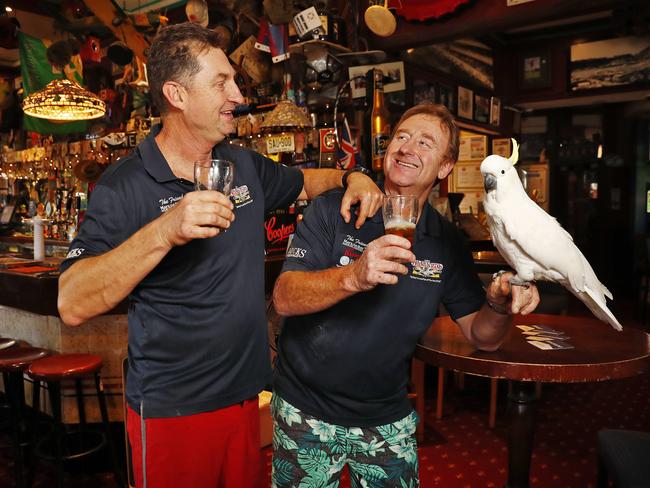 A pub’s resident cockatoo was one of several gripes from a single neighbour that landed Friend in Hand in Glebe in trouble. Picture: Sam Ruttyn