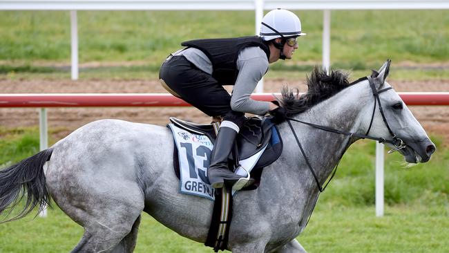 Matt Cumani to continue rich family tradition when he saddles Grey Lion ...