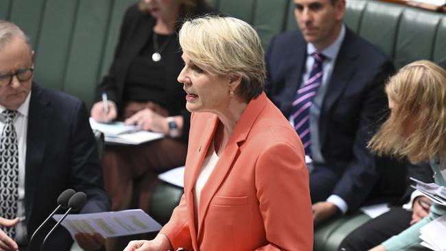 Minister for the Environment Tanya Plibersek in Canberra this week. Picture: NewsWire