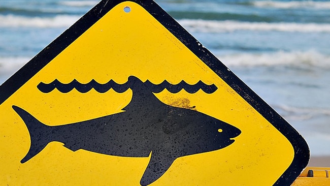 Sharks warning sign.