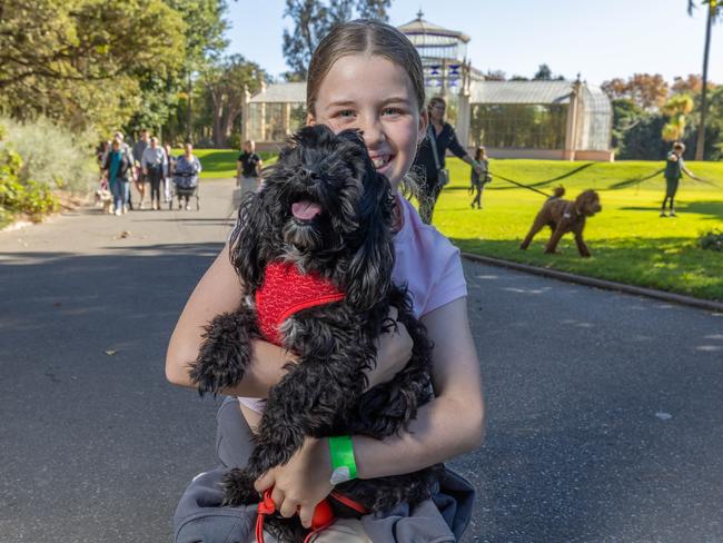 RSPCA SA's Million Paws Walk in Adelaide on May 25, 2025. Picture: Ben Clark