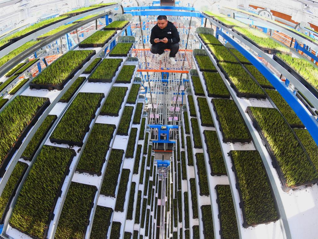 A technician checks on rice seeds in a 5G-powered system at an intelligent farm in Lianyungang, China. Picture: Geng Yuhe/VCG via Getty Images