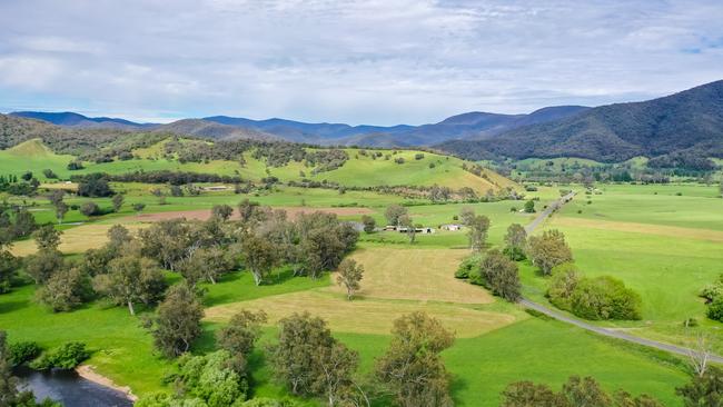 Bonnies at Tallandoon sold under the hammer last week for $2.3 million.