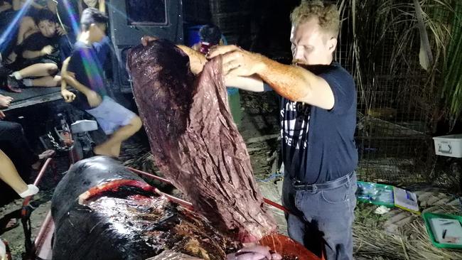 Darrell Blatchley, director of D'Bone Collector Museum, shows plastic waste found in the stomach of a Cuvier's beaked whale in the southern Philippines. Picture: AFP