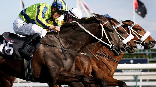 Turnbull Stakes Day Races at Flemington, Turnbull Stakes 2000m, (L) Kerrin McEvoy on board Lucia Valentina makes a mover at the 100m mark on Lidari and Brambles. 4th October 2014. Picture : Colleen Petch.