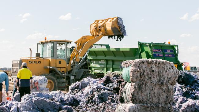 Shredded cotton being lifted into a spreader. Picture: Melanie Jenson