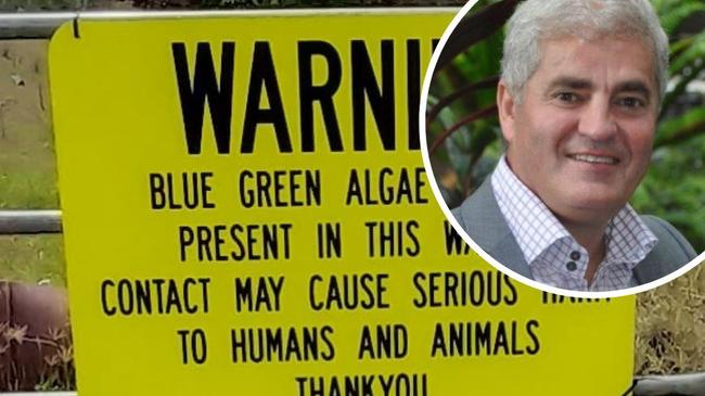 Blue green algae no threat to town water supply: council