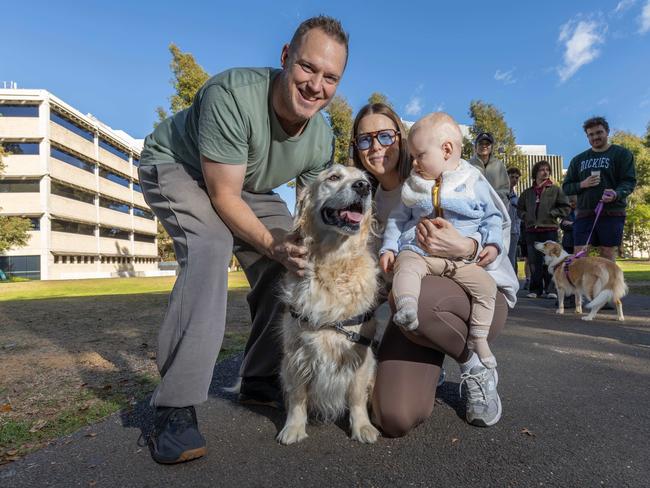 RSPCA SA's Million Paws Walk in Adelaide on May 25, 2025. Picture: Ben Clark