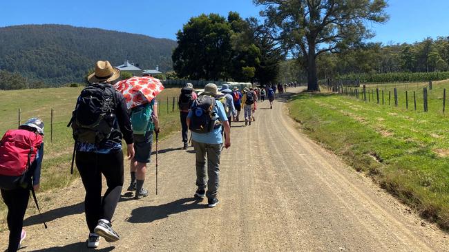 Walkers on the popular Way to St James Cygnet pilgrimage which is being held again in 2025. Picture: Supplied.