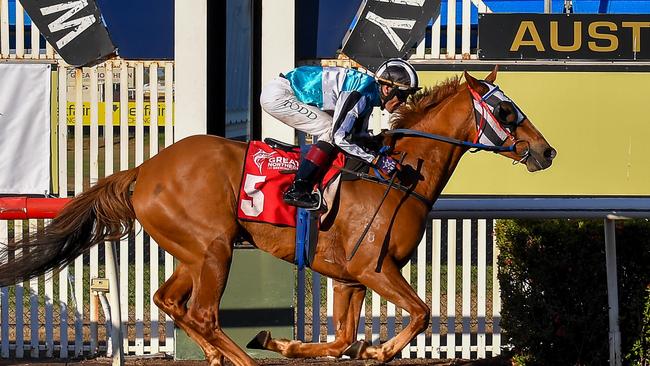 The Gary Clarke trained Wolfburn won the Bridge Toyota Cup with jockey Jarrod Todd on Ladies Day. Picture: Caroline Camilleri