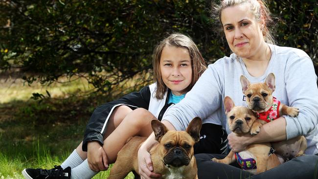 French Bulldog owner Jade Pross of Hobart and son Tyler, 11, with Cali and two of her puppies, Gucci and Rari. Picture: NIKKI DAVIS-JONES