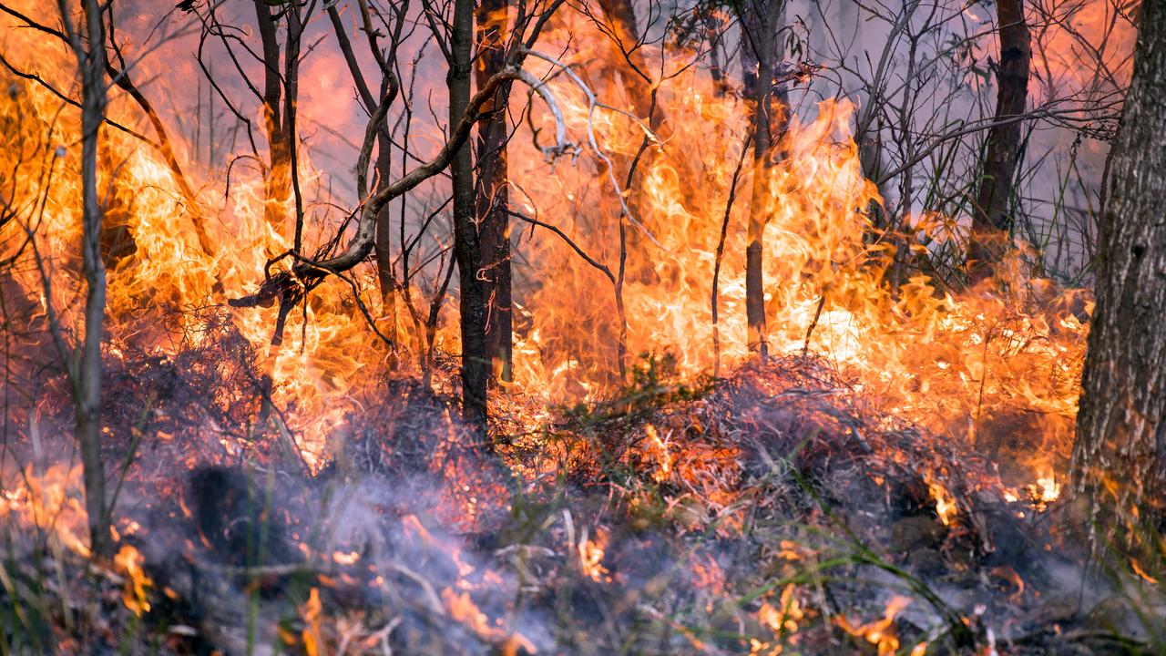 ‘Uncontrollable’ bushfire threatens to cut Tassie highway
