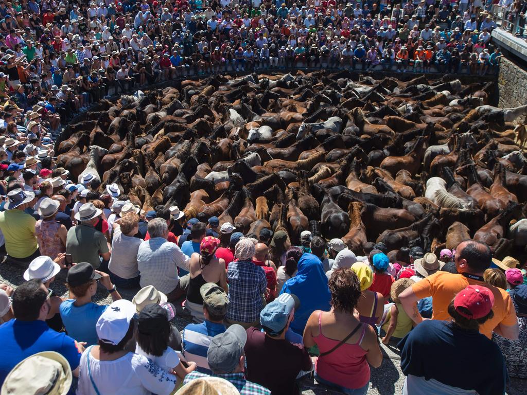 People watch the wild horses arriving at the ‘Rapa Das Bestas’ (Shearing of the Beasts). Picture: Miguel Riopa/AFP