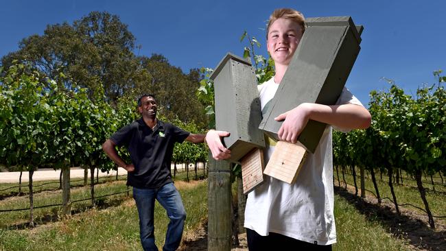 The Wetlands Vineyard owner Sami Gilligan, with Harrison, 15, who is among students making roost boxes for microbats. Picture: Naomi Jellicoe