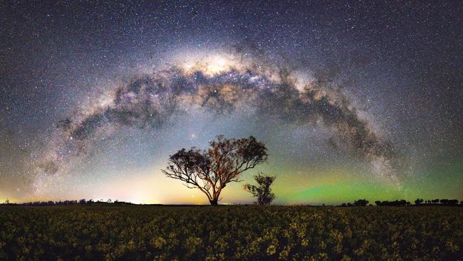 Winning entries from 2018 Sharp Shot Australia photography competition. Presented by Western Digital, Sharp Shot Australia is delighted to announce the winner of their photography competition, David Magro, from New South Wales. The eye-catching landscape photo shows a high level of photography skill in capturing the bright and glistening stars. "In Merriwa, NSW, a heart shaped tree stands among the canola fields with the stars of our Milky Way and an alignment of three planets. Saturn, Mars and Venus are the bright objects in the sky with Venus close to the horizon within the light pollution illuminating from Newcastle. In addition, charged oxygen particles known as airglow radiate green on the right. This photograph is a 180 degree panoramic view made up of sixteen images stitched together.”Picture: David Magro