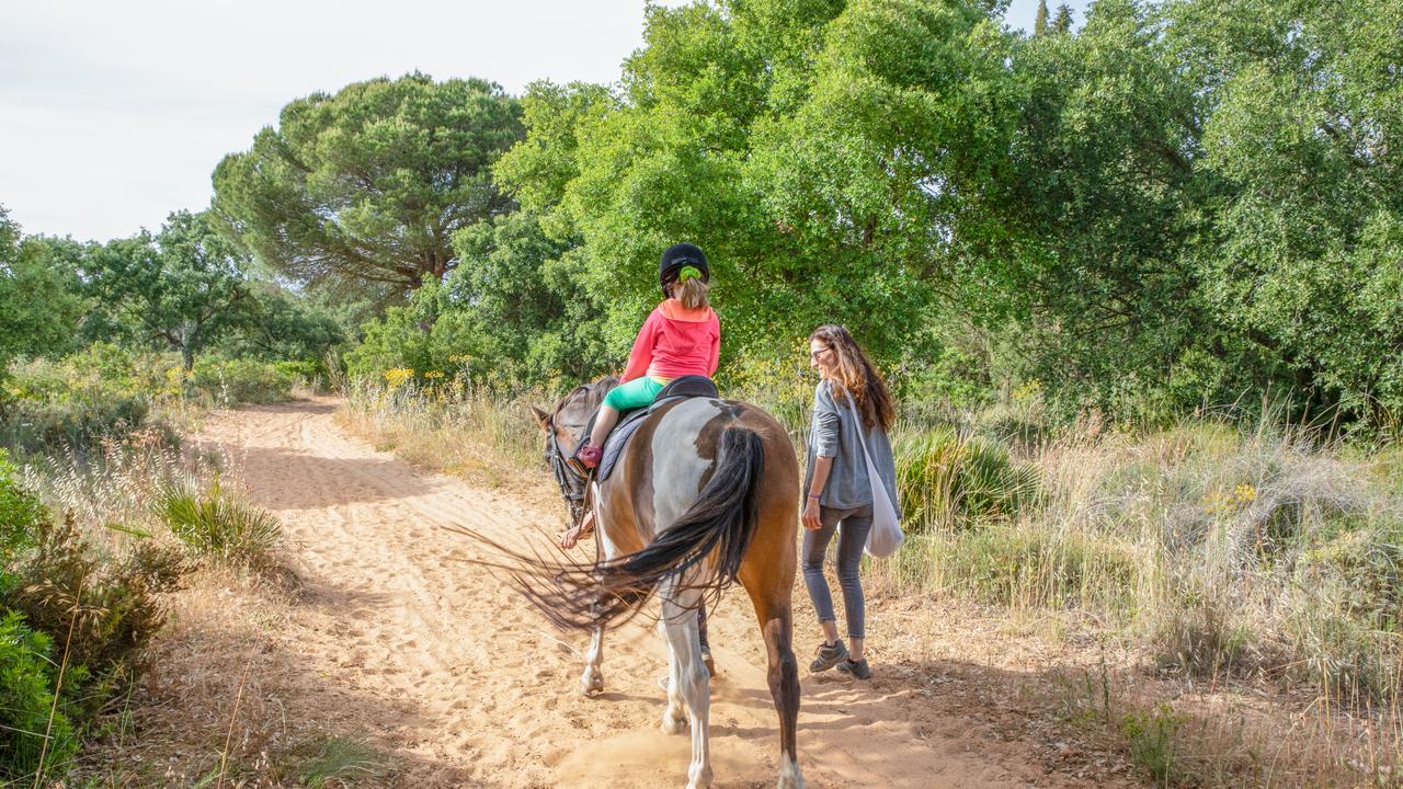 12 best farm stays in NSW | escape.com.au