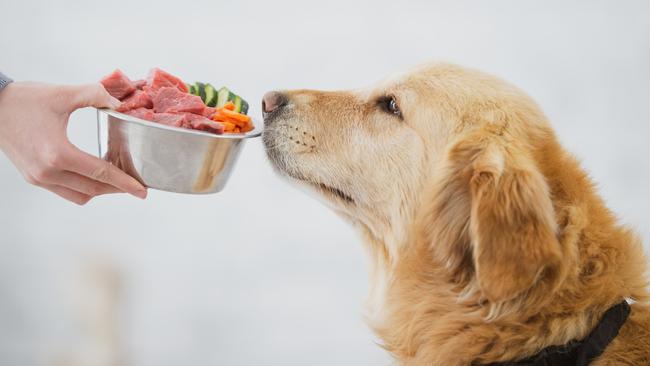 The global raw pet food industry is expected to grow to over $300 billion by 2029. Picture: iStock